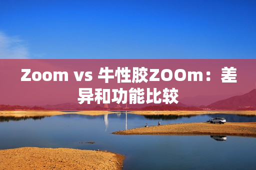 Zoom vs 牛性胶ZOOm：差异和功能比较
