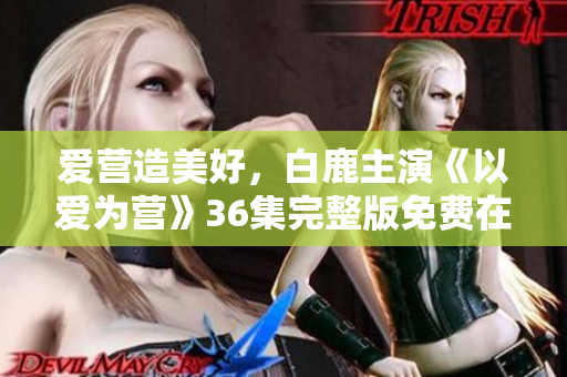 爱营造美好，白鹿主演《以爱为营》36集完整版免费在线观看