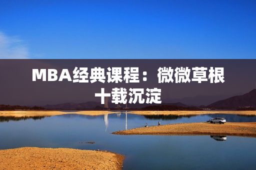 MBA经典课程：微微草根十载沉淀
