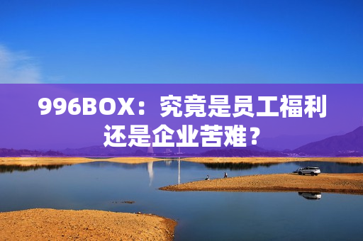 996BOX：究竟是员工福利还是企业苦难？