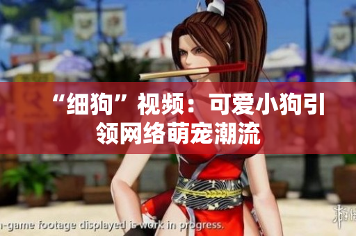 “细狗”视频：可爱小狗引领网络萌宠潮流
