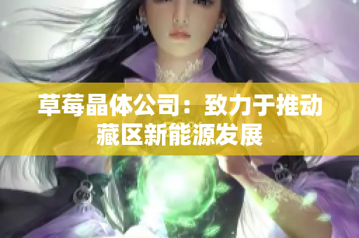 草莓晶体公司：致力于推动藏区新能源发展