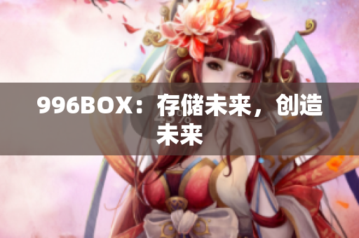 996BOX：存储未来，创造未来