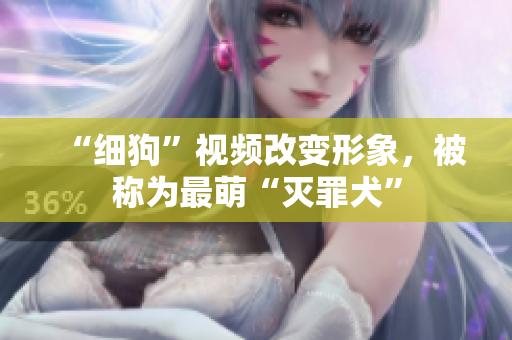 “细狗”视频改变形象，被称为最萌“灭罪犬”