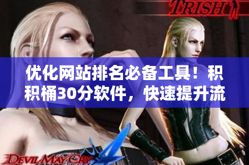优化网站排名必备工具！积积桶30分软件，快速提升流量