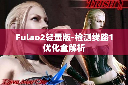 Fulao2轻量版-检测线路1优化全解析