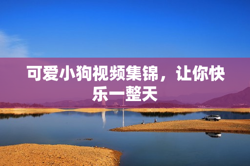 可爱小狗视频集锦，让你快乐一整天