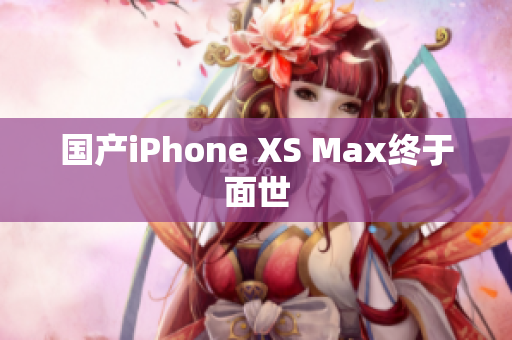国产iPhone XS Max终于面世