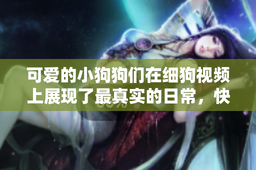 可爱的小狗狗们在细狗视频上展现了最真实的日常，快来看看吧！