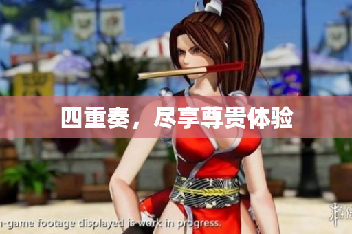 四重奏，尽享尊贵体验