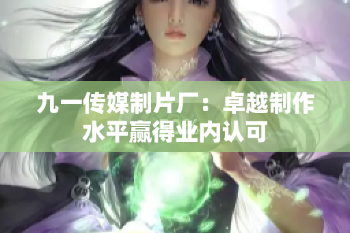 九一传媒制片厂：卓越制作水平赢得业内认可