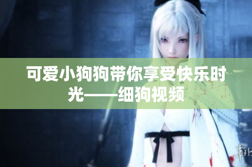 可爱小狗狗带你享受快乐时光——细狗视频