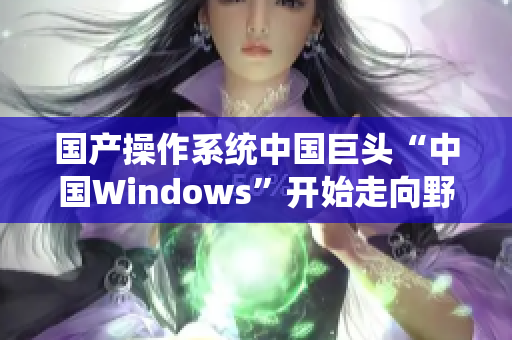 国产操作系统中国巨头“中国Windows”开始走向野外