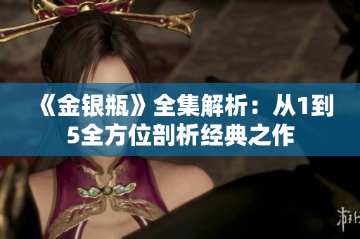 《金银瓶》全集解析：从1到5全方位剖析经典之作