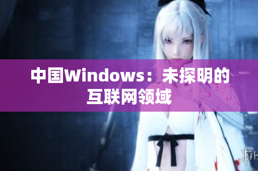 中国Windows：未探明的互联网领域