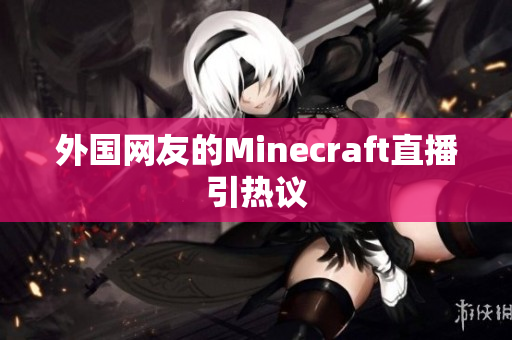 外国网友的Minecraft直播引热议