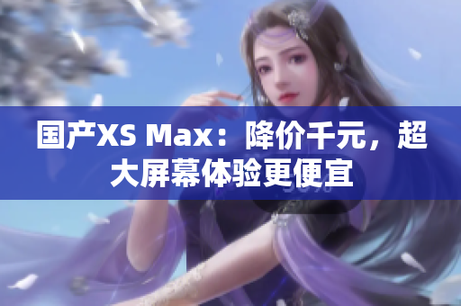 国产XS Max：降价千元，超大屏幕体验更便宜