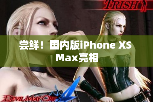 尝鲜！国内版iPhone XS Max亮相