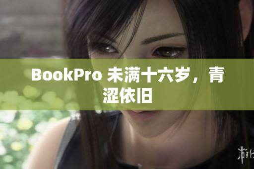 BookPro 未满十六岁，青涩依旧