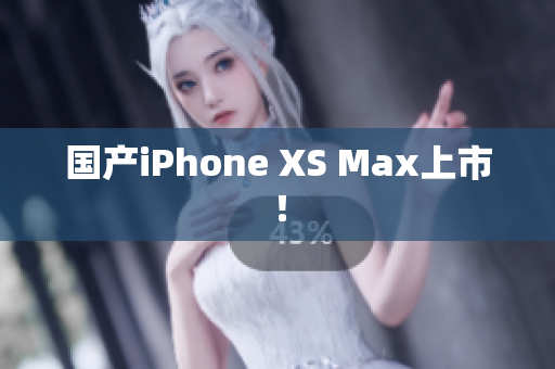 国产iPhone XS Max上市！