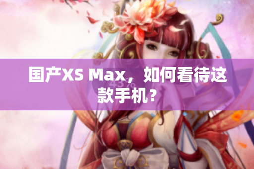 国产XS Max，如何看待这款手机？