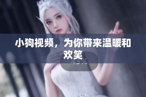 小狗视频，为你带来温暖和欢笑