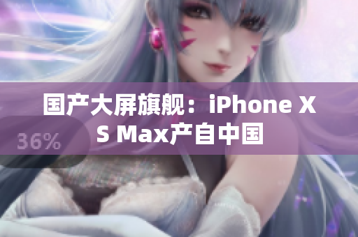 国产大屏旗舰：iPhone XS Max产自中国