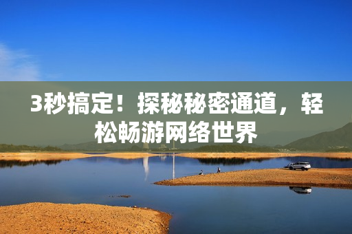 3秒搞定！探秘秘密通道，轻松畅游网络世界