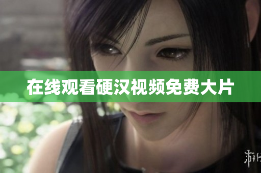 在线观看硬汉视频免费大片