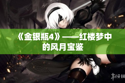 《金银瓶4》——红楼梦中的风月宝鉴