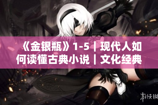 《金银瓶》1-5｜现代人如何读懂古典小说｜文化经典剖析