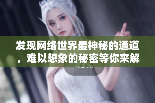 发现网络世界最神秘的通道，难以想象的秘密等你来解锁