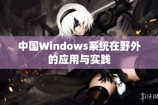 中国Windows系统在野外的应用与实践