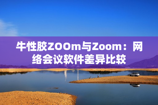 牛性胶ZOOm与Zoom：网络会议软件差异比较