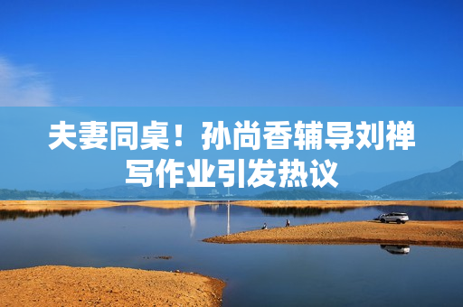 夫妻同桌！孙尚香辅导刘禅写作业引发热议
