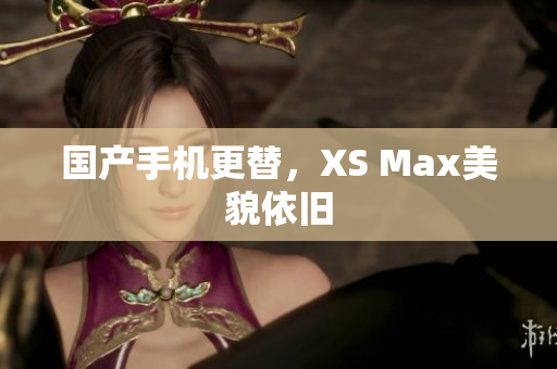 国产手机更替，XS Max美貌依旧