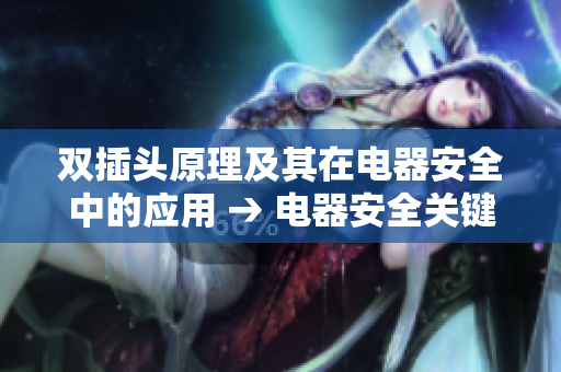 双插头原理及其在电器安全中的应用 → 电器安全关键：双插头原理解析