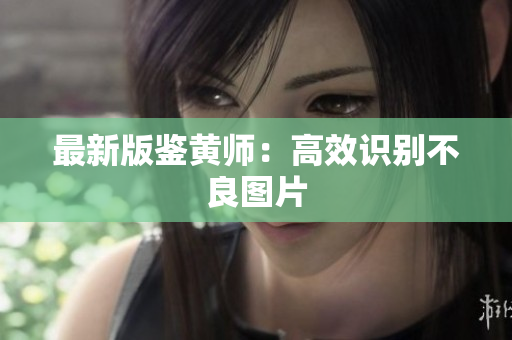 最新版鉴黄师：高效识别不良图片