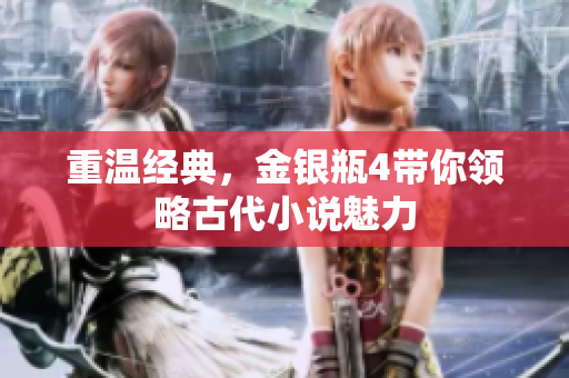 重温经典，金银瓶4带你领略古代小说魅力