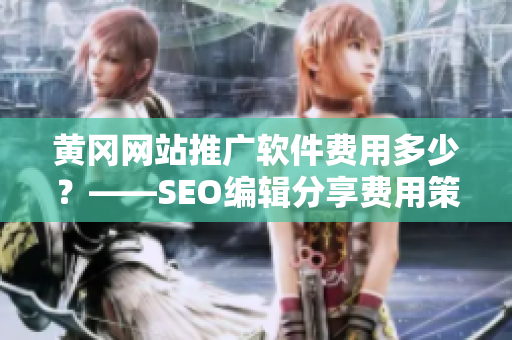 黄冈网站推广软件费用多少？——SEO编辑分享费用策略