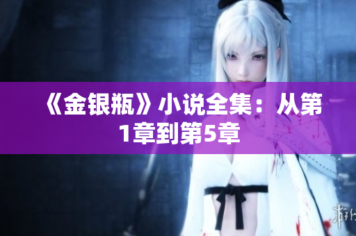 《金银瓶》小说全集：从第1章到第5章
