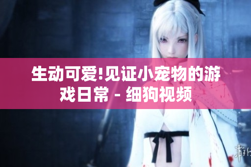 生动可爱!见证小宠物的游戏日常 - 细狗视频