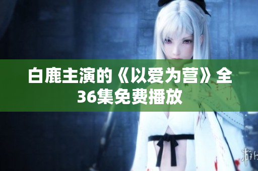 白鹿主演的《以爱为营》全36集免费播放