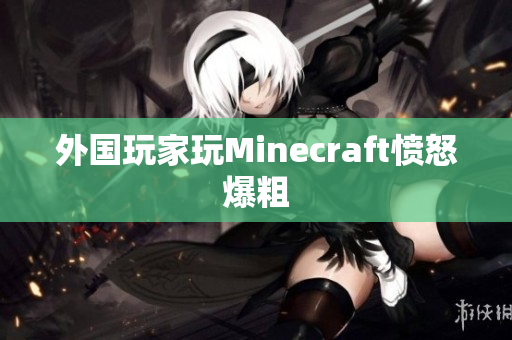 外国玩家玩Minecraft愤怒爆粗
