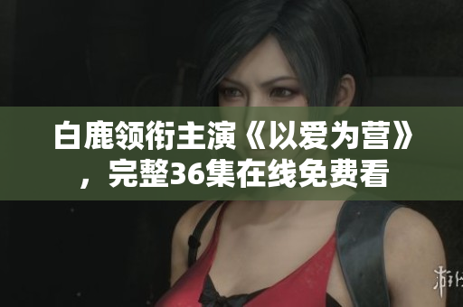 白鹿领衔主演《以爱为营》，完整36集在线免费看