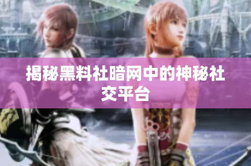 揭秘黑料社暗网中的神秘社交平台