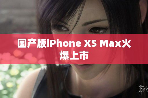 国产版iPhone XS Max火爆上市