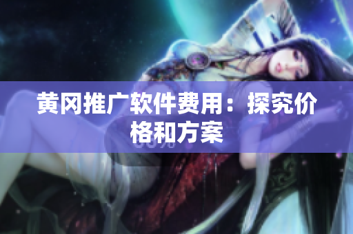 黄冈推广软件费用：探究价格和方案