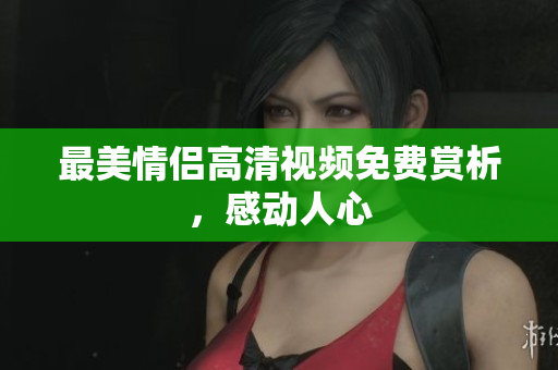 最美情侣高清视频免费赏析，感动人心