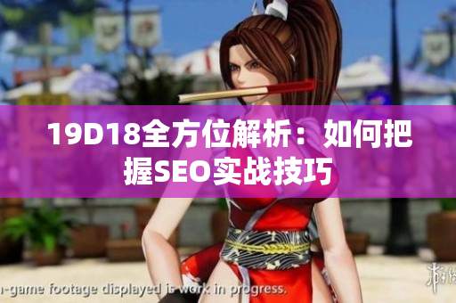 19D18全方位解析：如何把握SEO实战技巧